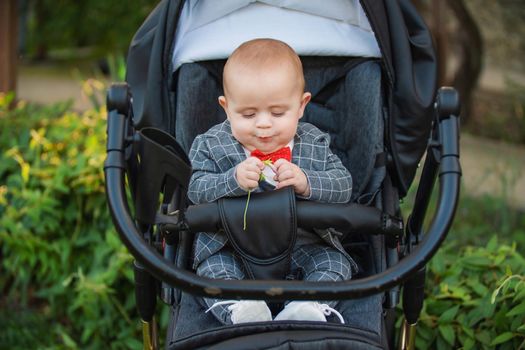 baby in a stroller tastes a flower