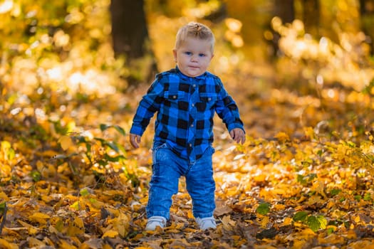 boy walking in the autumn forest