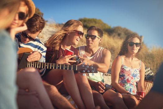 Cropped shot of a group of young friends hanging out together on a summers day at the beach.