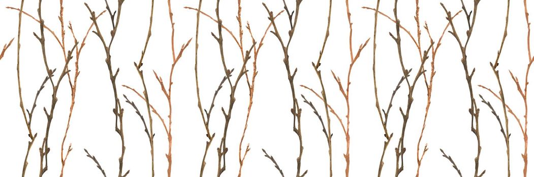Botanical watercolor. Winter branches. Wood seamless pattern for Christmas textile and web design