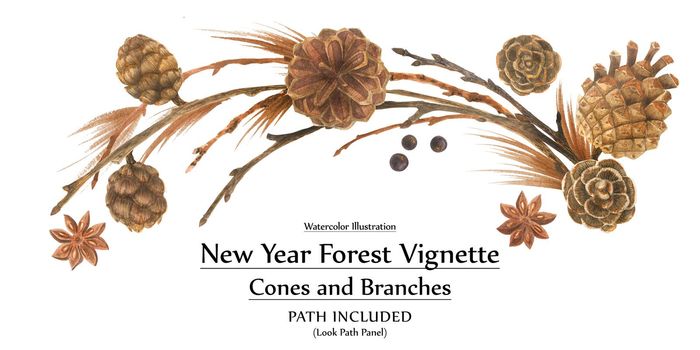 New year design by watercolor. Cones and branches forest vignette. Isolated, path included