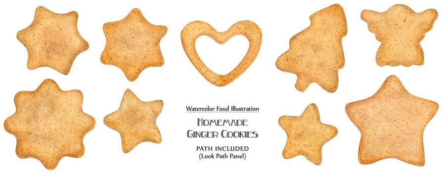 Watercolor food illustration. Homemade sugar ginger cookies. Isolated, path included