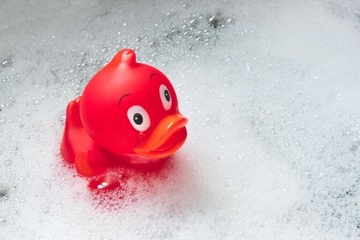 Red toy rubber duck among the soap bubbles in the bath