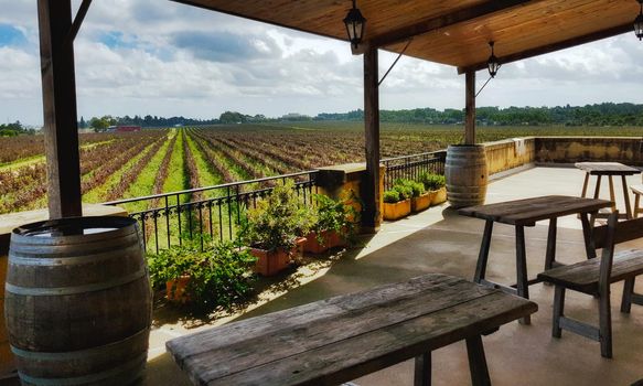 A view of rows of vines in a vineyard from a villa balcony with wooden tables and chairs