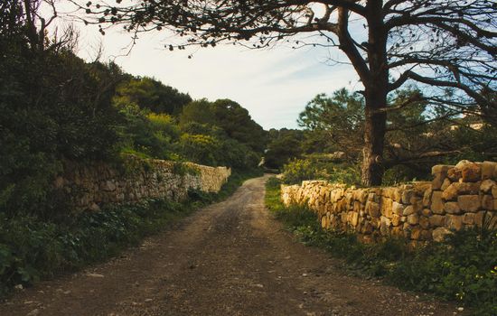 Countryside scene with dirt path and stone rubble walls and tree