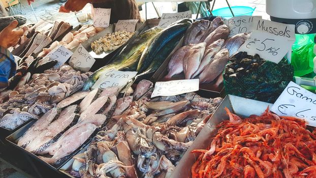 Varied fresh fish and seafood in trays at a fishmonger's stand in an open-air market