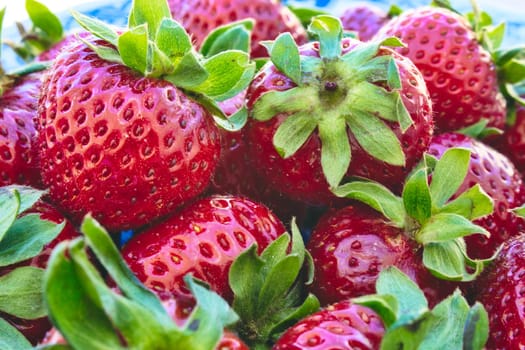 Close-up of fresh ripe strawberries