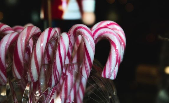 Close-up of red and white striped candy canes on display in a glass jar