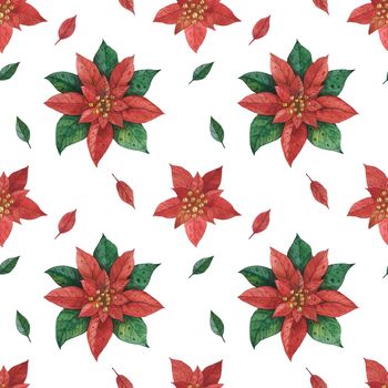 Christmas Star Poinsettia pattern, watercolor illustration, path included