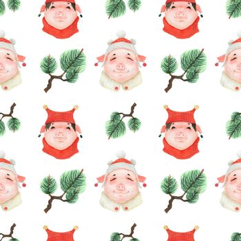 Chinese new year watercolor seamless pattern. Funny teen pigs and green pine branches. White background, clipping path included