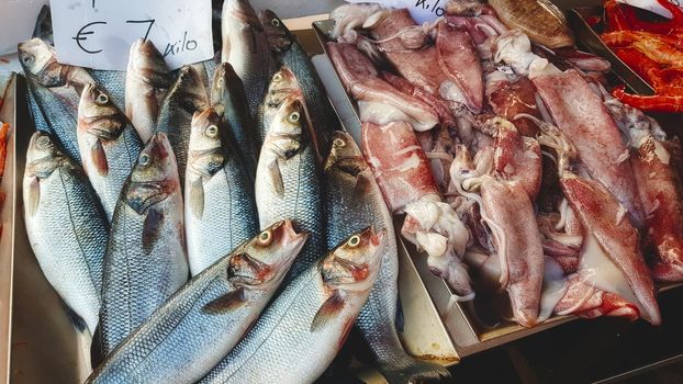 Fish and squid for sale at a seafood fishmonger's open-air market stall