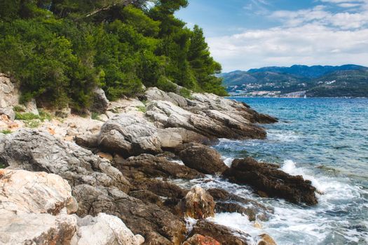 Rocks on the water's edge with a green forest and hills on an island in the background