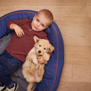 An adorable little boy with his puppy at home.
