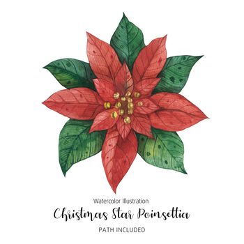 Poinsettia Red Green Christmas Star Flower, watercolor hand-made illustration