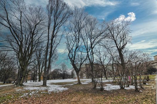 Park, garden in Warsaw of Poland with snow during the winter