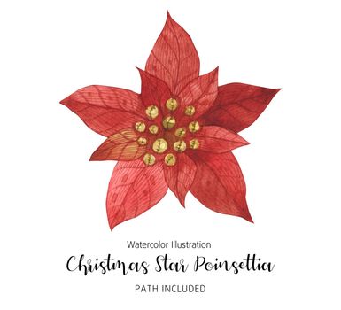 Poinsettia Red Christmas Star Flower, watercolor hand-made illustration