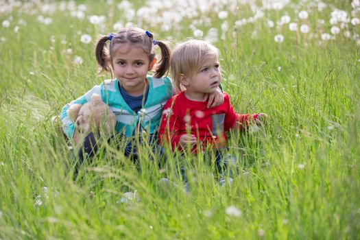 Little brother and sister in the meadow. Children sit on the grass. Friends in a dandelion field