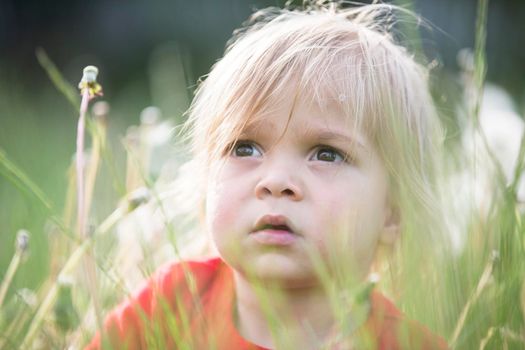 The face of a child in the green grass. Portrait of a kid in nature