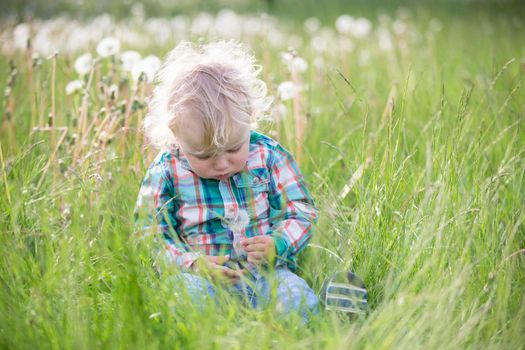 The holiday of childhood.Blond little boy with a dandelion. One year old baby is sitting in the grass. Child in the meadow