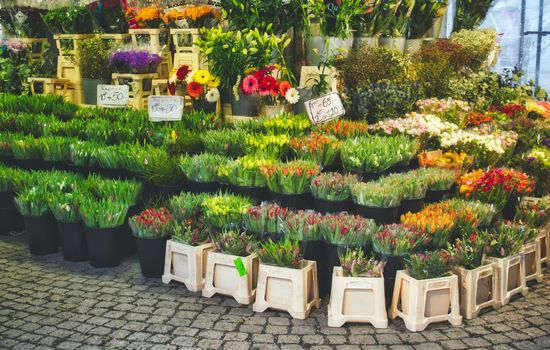 Bouquets of flowers at an open-air market stall