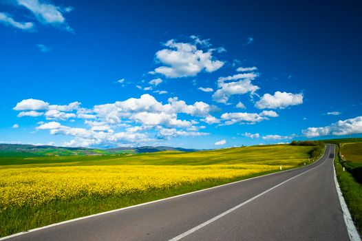 Highway road in the nature.