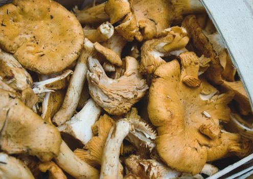 Close-up of Chanterelle mushrooms in a basket