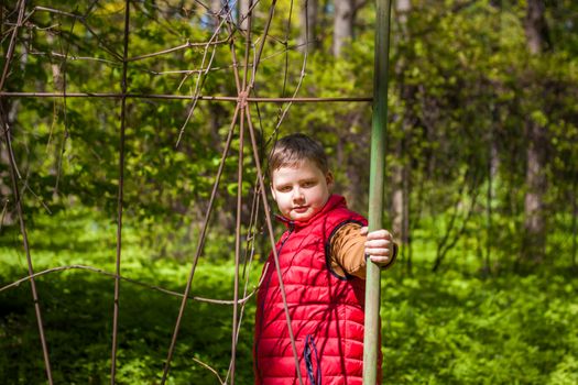 Portrait of a young man in a red tank top in the forest in spring. Walk through the green park in the fresh air. The magical light from the sun's rays falls behind the boy. Spring