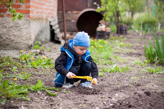 A child is planting a garden. A child's rake in his hands. A little gardener boy is planting plants in a flower bed. Gardening tools in the hands of a child. Garden, vegetable garden, children