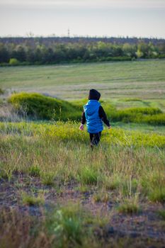 Children in the open spaces of the field are walking among the juicy spring grass in the light of sunset along a narrow trampled path. Landscape, countryside, spring