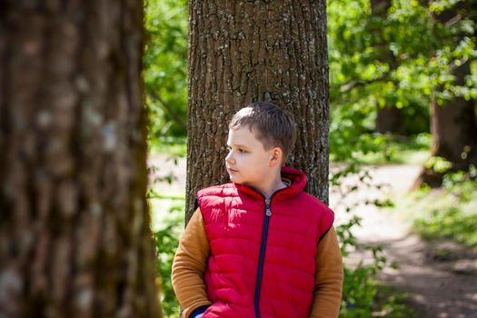 Portrait of a boy in the forest in spring. Take a walk in the green park in the fresh air. The magical light from the sun's rays is left behind. Space for copying. Selective focus. Spring