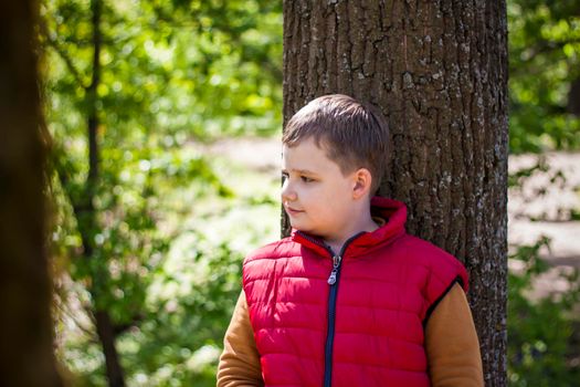 Portrait of a boy in the forest in spring. Take a walk in the green park in the fresh air. The magical light from the sun's rays is left behind. Space for copying. Selective focus. Spring