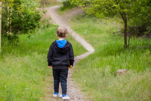 A child boy walks along a narrow path up the mountain. The kid is walking along a forest path.  Spring, walks, family