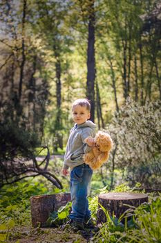 A cute boy is playing with a bear cub in the forest. The sun's rays envelop the space of the clearing with a stump. A magical story of interactions for the book. Space for copying. Selective focus.