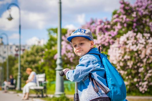 A boy in a baseball cap rides a scooter along a lilac alley .  Against the background of lilac bushes. Interactions. Selective focus. Spring