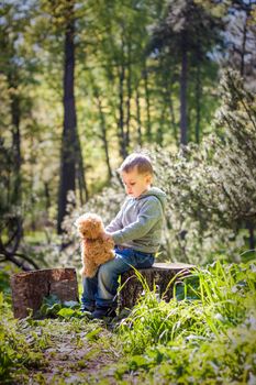 A cute boy is playing with a bear cub in the forest. The sun's rays envelop the space of the clearing with a stump. A magical story of interactions for the book. Space for copying. Selective focus.