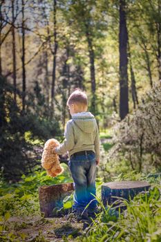 A cute boy is playing with a bear cub in the forest. The sun's rays envelop the space of the clearing with a stump. A magical story of interactions for the book. Space for copying. Selective focus.