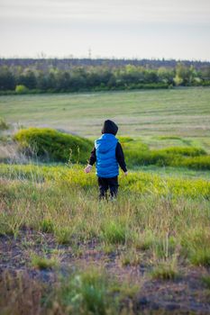 Children in the open spaces of the field are walking among the juicy spring grass in the light of sunset along a narrow trampled path. Landscape, countryside, spring