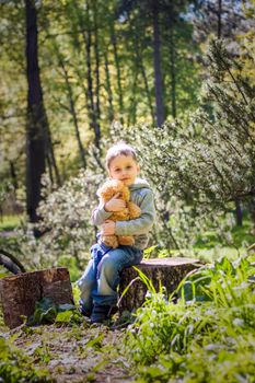 A cute boy is playing with a bear cub in the forest. The sun's rays envelop the space of the clearing with a stump. A magical story of interactions for the book. Space for copying. Selective focus.