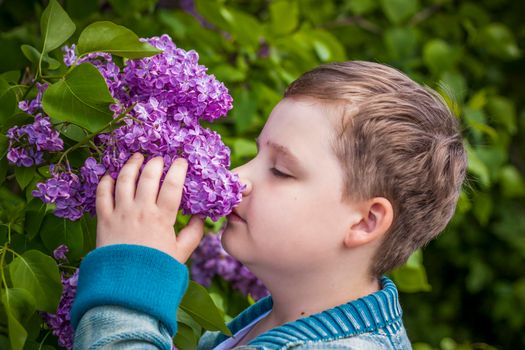 The boy sniffs a lush branch of lilac. Close-up portrait. Natural wallpaper. Selective focus. Spring