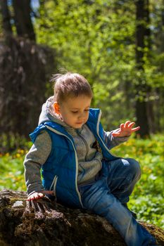 Portrait of a boy in a blue tank top in the woods in spring. Take a walk in the green park in the fresh air. The magical light from the sun's rays falls behind the boy. Spring