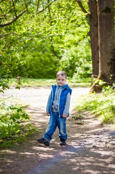 Portrait of a boy in the forest in spring. Take a walk in the green park in the fresh air. The magical light from the sun's rays is left behind. Space for copying. Selective focus. Spring