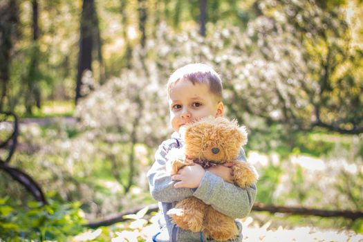 A cute boy is playing with a bear cub in the forest. The sun's rays envelop the space of the clearing with a stump. A magical story of interactions for the book. Space for copying. Selective focus.