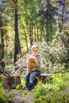 A cute boy is playing with a bear cub in the forest. The sun's rays envelop the space of the clearing with a stump. A magical story of interactions for the book. Space for copying. Selective focus.