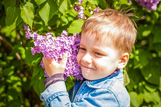 A boy poses near a lush lilac. Portrait of children with an interesting facial expression. Interactions. Selective focus. Spring