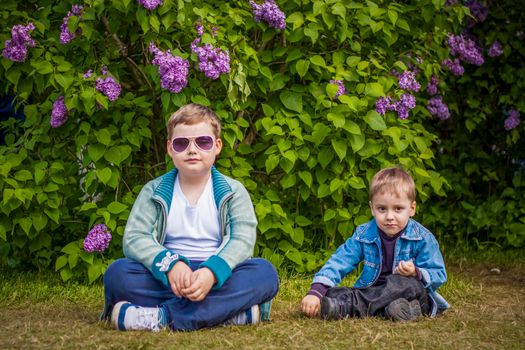 A boy poses near a lush lilac. Portrait of children with an interesting facial expression. Interactions. Selective focus. Spring