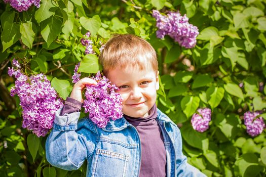 A boy poses near a lush lilac. Portrait of children with an interesting facial expression. Interactions. Selective focus. Spring