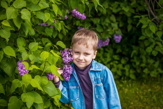 A boy poses near a lush lilac. Portrait of children with an interesting facial expression. Interactions. Selective focus. Spring