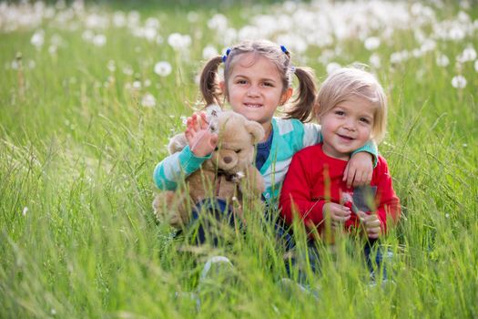 Little brother and sister in the meadow. Children sit on the grass. Friends in a dandelion field