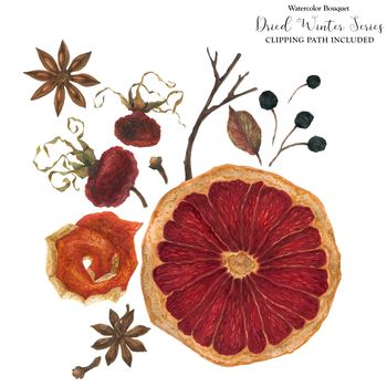Winter bouquet with dried oranges and winter plants, watercolor with clipping path