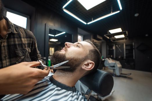 Hairdresser doing haircut of beard using comb and scissors to young attractive man in barbershop